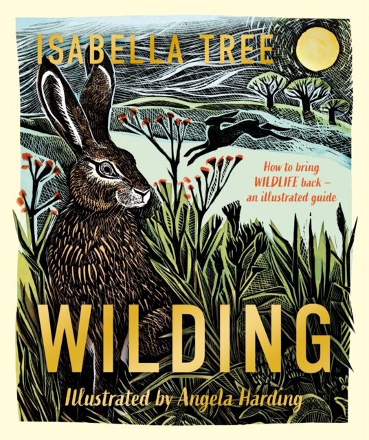 Wilding: The New Illustrated Guide