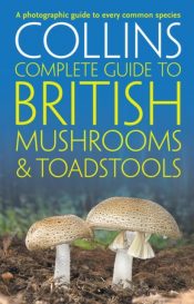 Collins Complete British Mushrooms and Toadstools : The Essential Photograph Guide to Britain's Fungi