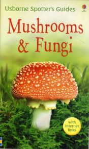 Mushrooms and Funghi