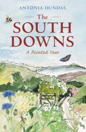 The South Downs : A Painted Year