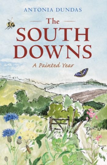 The South Downs : A Painted Year