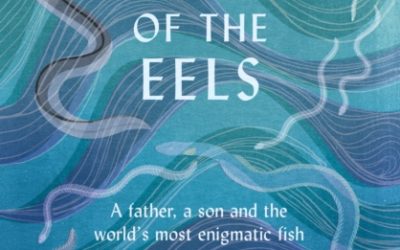 The Gospel of the Eels