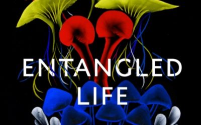 Entangled Life