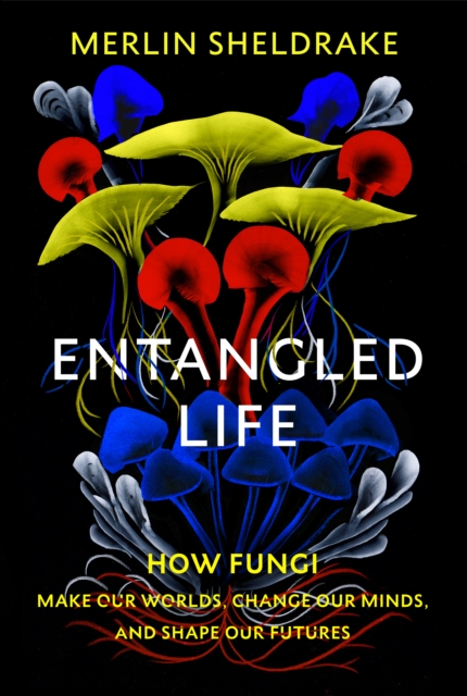 Entangled Life : How Fungi Make Our Worlds, Change Our Minds and Shape Our Futures