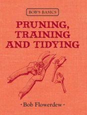 Pruning, Training and Tidying