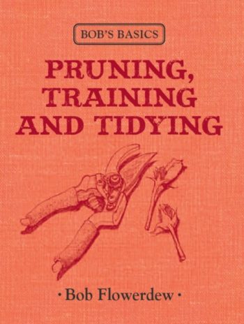 Pruning, Training and Tidying