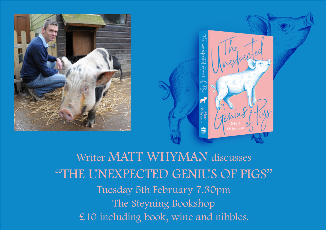 Matt Whyman The Unexpected Genius of Pigs